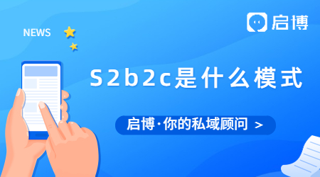 S2b2c是什么模式？為什么S是大寫b和c卻是小寫？