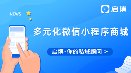 什么是多元化的微信小程序商城?有什么用？